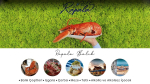 RAPALA