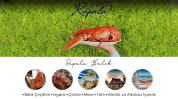 RAPALA